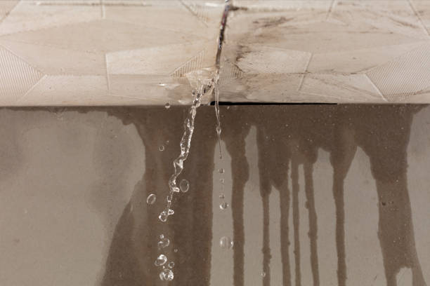 Professional Water Damage Restoration technician working in Forest, OH